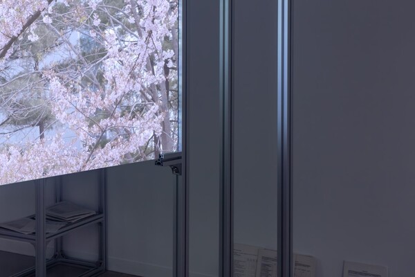 Rebecca Moccia, Ministries of Loneliness, 2024. Installation view at Dong-gok Museum of Art. Courtesy the Artist and Italian Pavilion - 15th Gwangju Biennale. Ph. Parker McComb