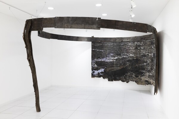 홍승일, 생의 순환, 혼합매체, 2024