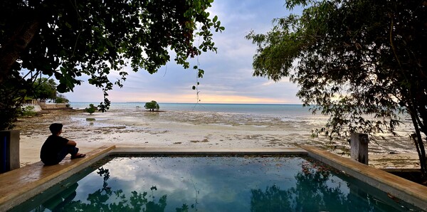 바닷가에서 자라는 망그로브 나무가 보이는 숙소