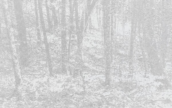 신경철 Shin Kyung-Chul, T-HERE-WSP202402, 2024, Acrylic & Pencil on linen, 162.1 x 259.1 cm