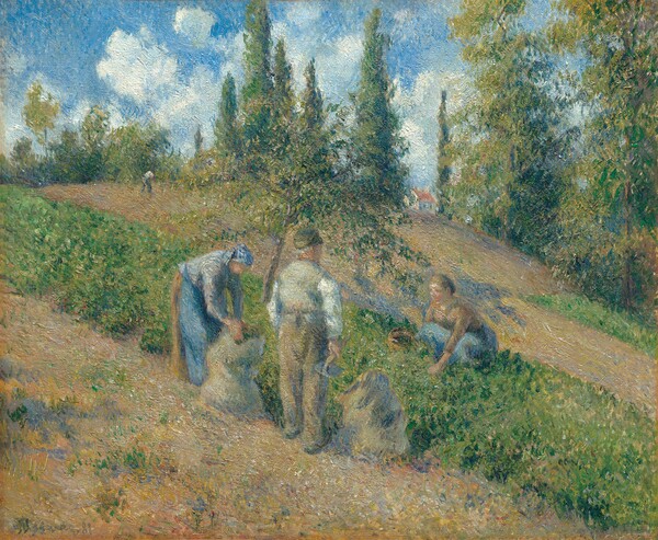 카미유 피사로, 퐁투아즈에서의 수확, 1881년, 캔버스에 유화, 46.0×56.2㎝, 로버트 리먼 컬렉션, 1975년 (1975.1.197)