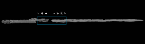 창녕 교동 11호분 출토 명문대도 X-선 사진(글자 위치)